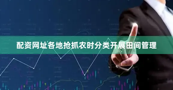 配资网址各地抢抓农时分类开展田间管理
