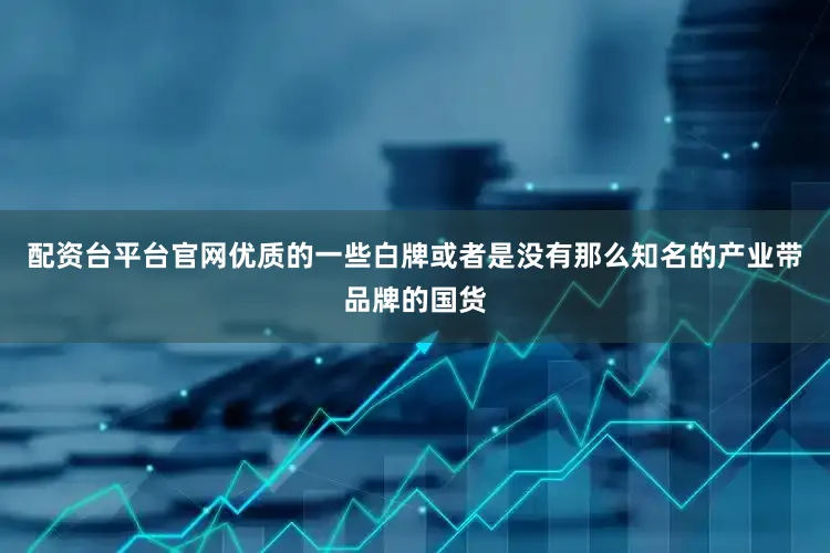 配资台平台官网优质的一些白牌或者是没有那么知名的产业带品牌的国货