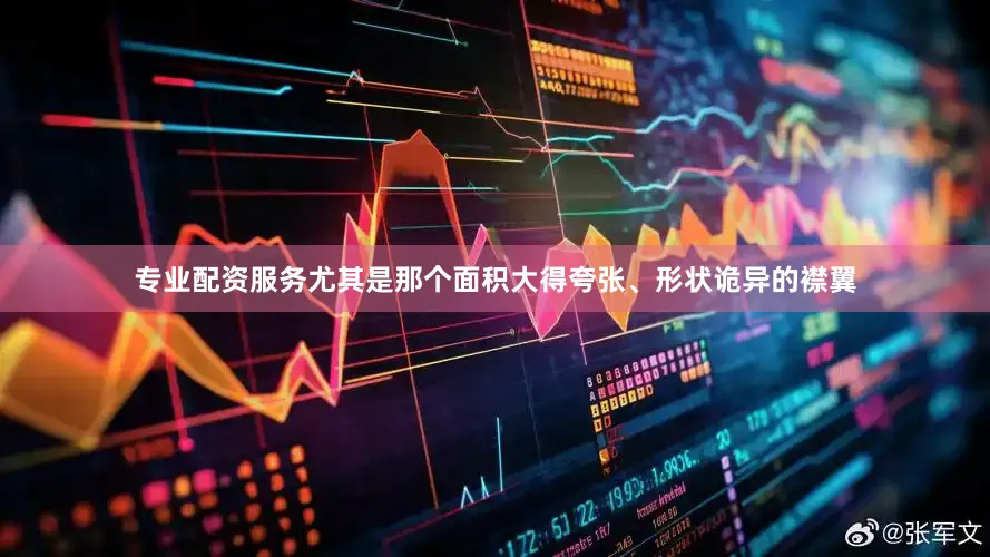 专业配资服务尤其是那个面积大得夸张、形状诡异的襟翼