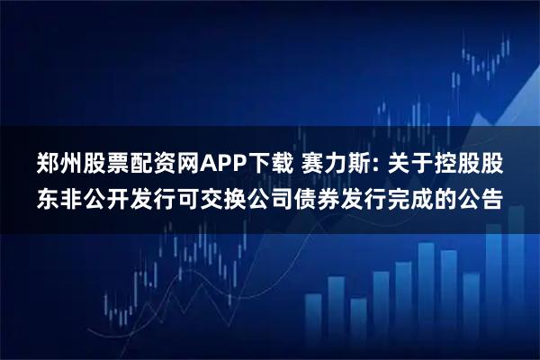 郑州股票配资网APP下载 赛力斯: 关于控股股东非公开发行可交换公司债券发行完成的公告